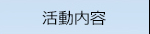 活動内容